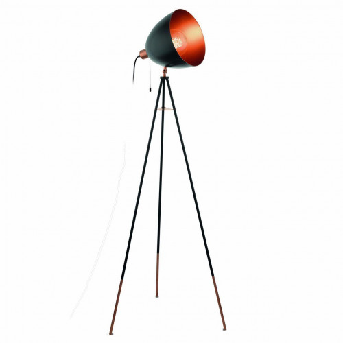 торшер eglo chester 49386 в Шахтах
