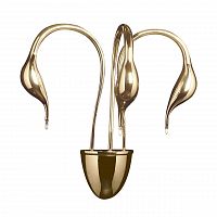 бра lightstar cigno collo 751632 в Шахтах