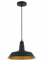 подвесной светильник odeon light kasl 3378/1 в Шахтах