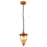 подвесной светильник arte lamp catena a6711sp-1br в Шахтах