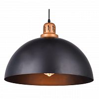 подвесной светильник arte lamp eurica a4249sp-1bk в Шахтах