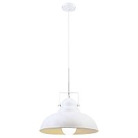 подвесной светильник arte lamp martin a5213sp-1wg в Шахтах