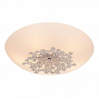 потолочный светильник silver light verbena 836.50.5 в Шахтах