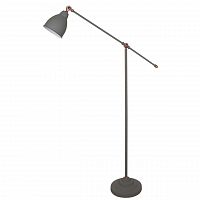 торшер arte lamp braccio a2054pn-1gy в Шахтах