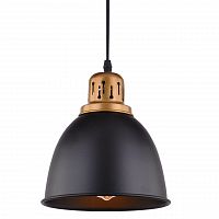 подвесной светильник arte lamp eurica a4245sp-1bk в Шахтах