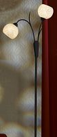 торшер lussole bagheria lsf-6295-02 в Шахтах